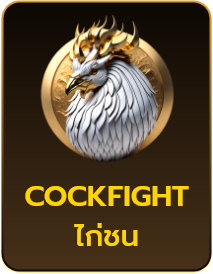 cockfight